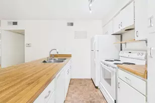 910 Duncan Ln, Austin, TX 78705 - Photo 19