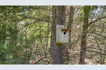 0000 Cr 330, Milano, TX 76556 - Photo 7