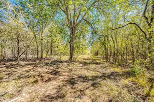 659 Fox Ln, Lockhart, TX 78644 - Photo 37