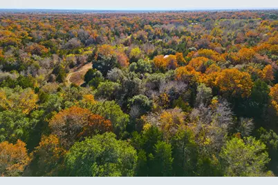 272 Deadwood Road, Cedar Creek, TX 78621 - Photo 1