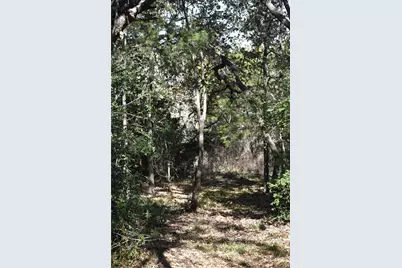 272 Deadwood Road, Cedar Creek, TX 78621 - Photo 9