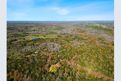 272 Deadwood Road, Cedar Creek, TX 78621 - Photo 31