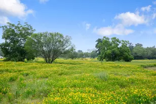 3413 Fm 1185, Lockhart, TX 78644 - Photo 35