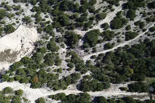 1211 Farris Dr, Austin, TX 78734 - Photo 5