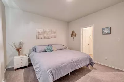 248 Cherry Vine Drive, Buda, TX 78610 - Photo 13