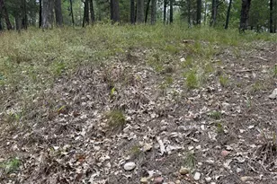 Lot 291 Aka Ct, Bastrop, TX 78602 - Photo 1