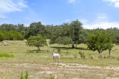 Lot 162 Legacy Hills, Johnson City, TX 78636 - Photo 15