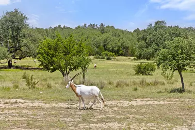 Lot 162 Legacy Hills, Johnson City, TX 78636 - Photo 3