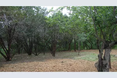 11112, 11106 Travis Drive, Jonestown, TX 78645 - Photo 7