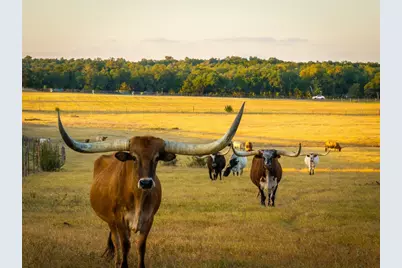 169 Island Oaks Lane, Driftwood, TX 78619 - Photo 7