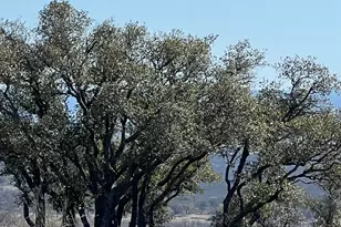 Lot 25 Southview Ct, Kingsland, TX 78639 - Photo 21