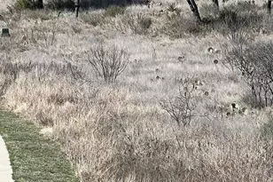 Lot 25 Southview Ct, Kingsland, TX 78639 - Photo 5