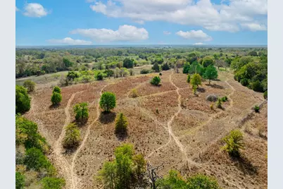 164 Bull Run Road, Cedar Creek, TX 78612 - Photo 31