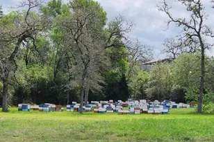 1122 County Road 344 Rd, Lexington, TX 78947 - Photo 37