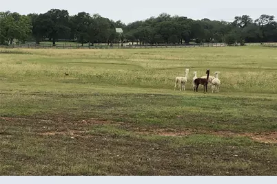 Tbd Pin Oak Street, Dripping Springs, TX 78620 - Photo 1