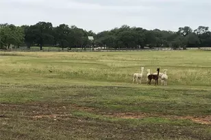 Tbd Pin Oak St, Dripping Springs, TX 78620 - Photo 1