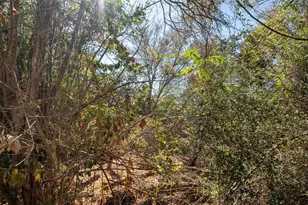 7101 Thannas Way, Austin, TX 78744 - Photo 37