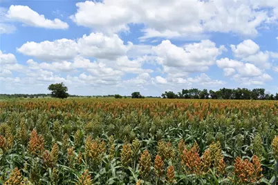 Tbd County Road 109, Buckholts, TX 76518 - Photo 5