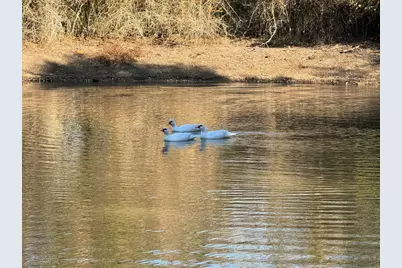 8405 Taylorsville Road, Dale, TX 78616 - Photo 1