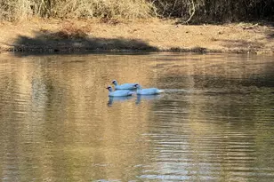 8405 Taylorsville Rd, Dale, TX 78616 - Photo 1