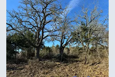 8405 Taylorsville Road, Dale, TX 78616 - Photo 9