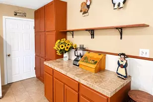 650 W Vaughan St, Bertram, TX 78605 - Photo 3