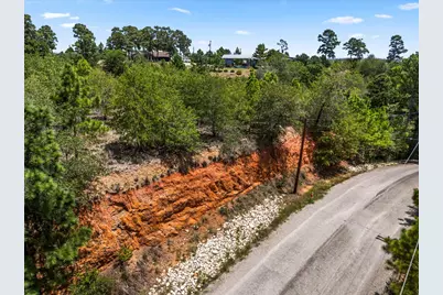 177 Koloiki Lane, Bastrop, TX 78602 - Photo 29