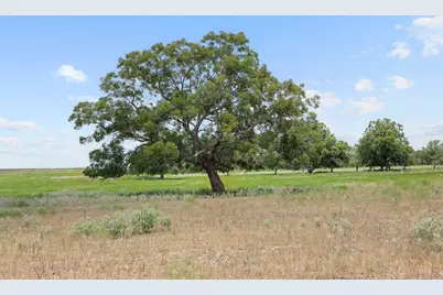 Tract 4 Fm 3158, Dale, TX 78616 - Photo 3