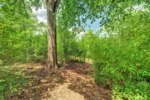 6608 Bradley Dr, Austin, TX 78723 - Photo 29