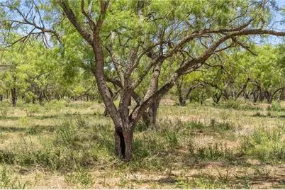 6411 County Rd 120, Marble Falls, TX 78654 - Photo 15