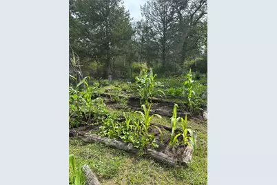1053 E County Road F, Lexington, TX 78947 - Photo 33
