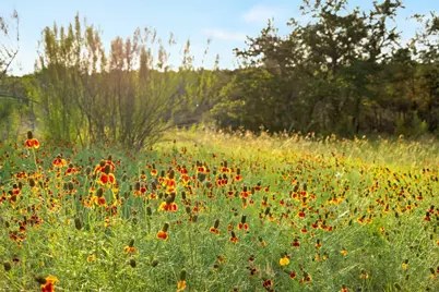 900 Lost Valley Road, Dripping Springs, TX 78620 - Photo 31