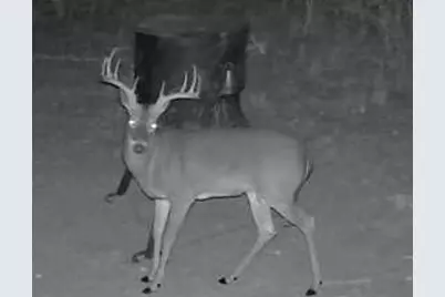 1200 Lipan Apache Run, Blanco, TX 78606 - Photo 7