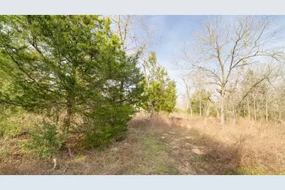 363 Private Road 3745, Milano, TX 76556 - Photo 5