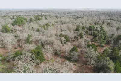 363 Private Road 3745, Milano, TX 76556 - Photo 17