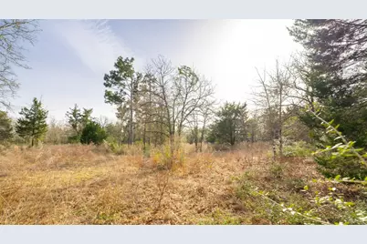 363 Private Road 3745, Milano, TX 76556 - Photo 13