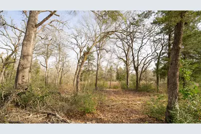 363 Private Road 3745, Milano, TX 76556 - Photo 11