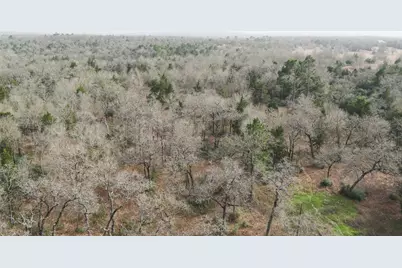 363 Private Road 3745, Milano, TX 76556 - Photo 29