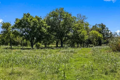 440 Chimney Valley Road, Blanco, TX 78606 - Photo 7