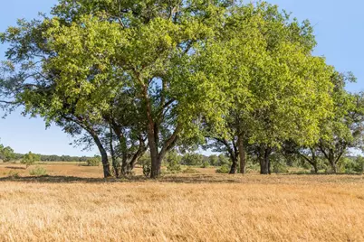 440 Chimney Valley Road, Blanco, TX 78606 - Photo 13