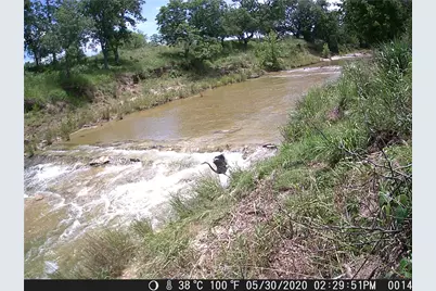 440 Chimney Valley Road, Blanco, TX 78606 - Photo 13