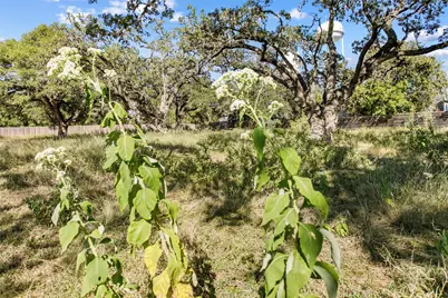 1420 Greenlawn Parkway, Blanco, TX 78606 - Photo 1