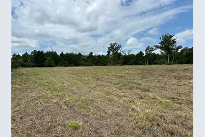 147 Pine Valley Drive, Paige, TX 78659 - Photo 13