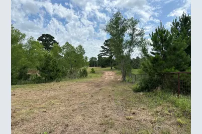 147 Pine Valley Drive, Paige, TX 78659 - Photo 13