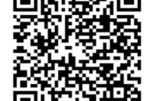 510 N Orange St, Fredericksburg, TX 78624 - Photo 29