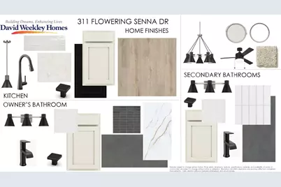 311 Flowering Senna Drive, Buda, TX 78610 - Photo 3