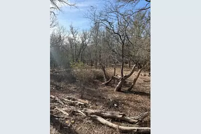 157 E Keanahalululu Lane, Bastrop, TX 78602 - Photo 7