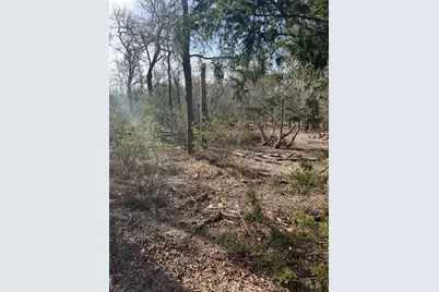 157 E Keanahalululu Lane, Bastrop, TX 78602 - Photo 5