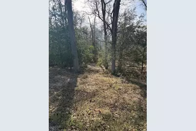 157 E Keanahalululu Lane, Bastrop, TX 78602 - Photo 3