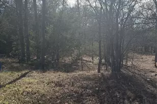 157 E Keanahalululu Ln, Bastrop, TX 78602 - Photo 1